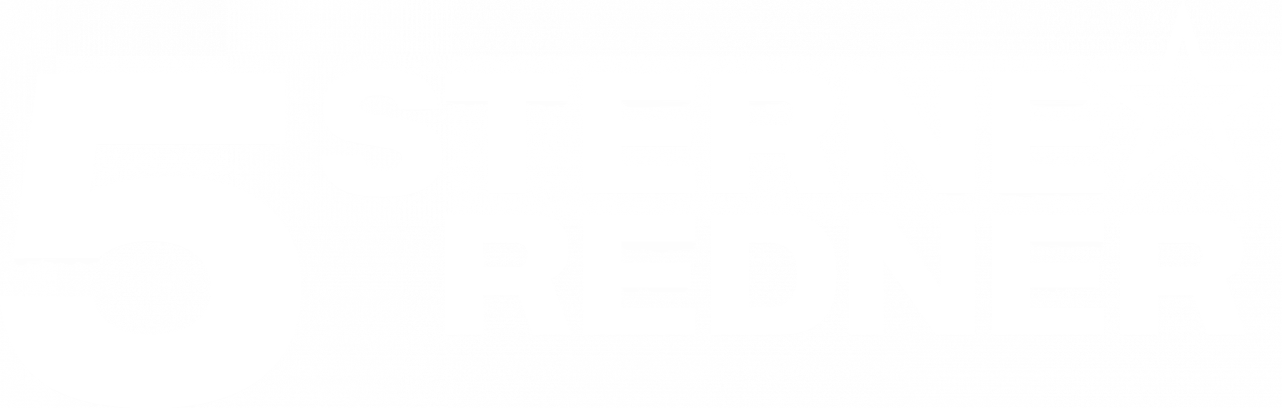 5 Sterne Redner